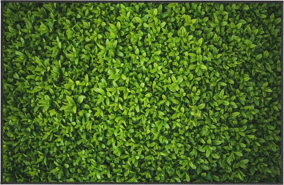 Covor Oyo home Ivy, 140 x 220 cm, verde