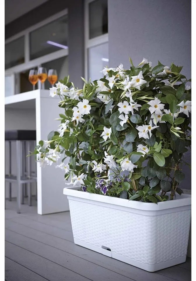 Jardiniera, Tortora, Vetro-Plus, 30x13x11 cm, plastic, maro