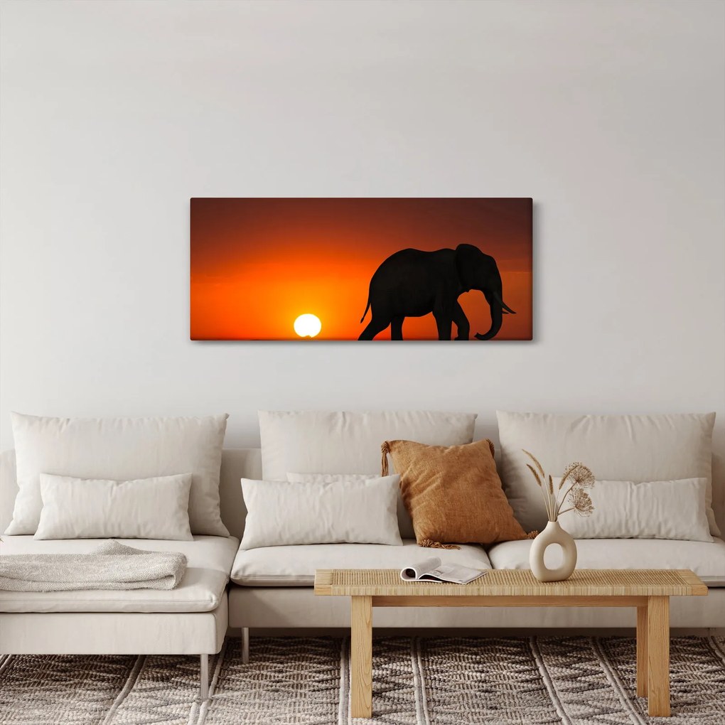 Tablou cu elefant în apus de soare (120x50 cm)