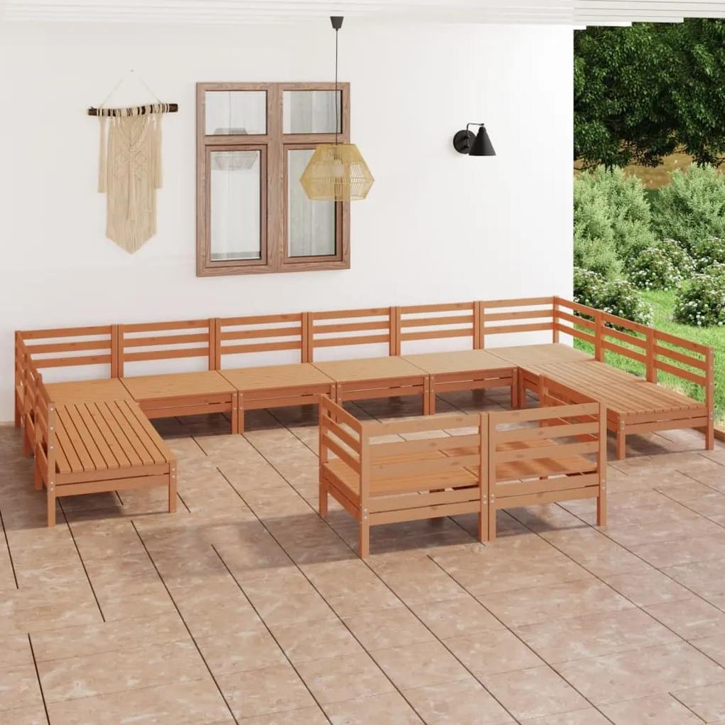 3083497 vidaXL Set mobilier de grădină, 12 piese, maro miere, lemn masiv pin