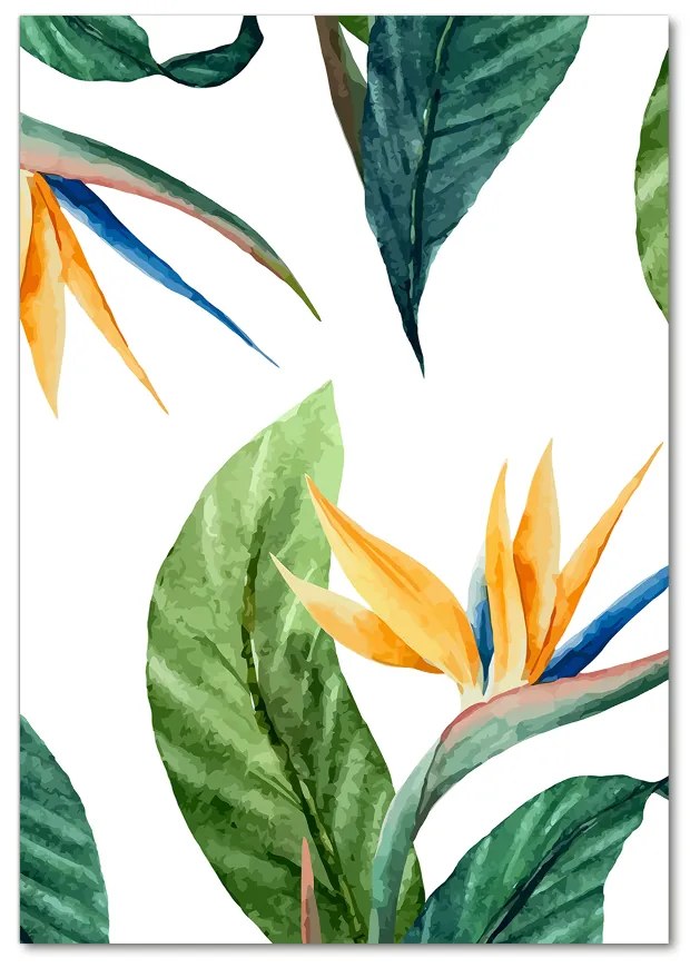 Tablou Printat Pe Sticlă Strelitzia reginae