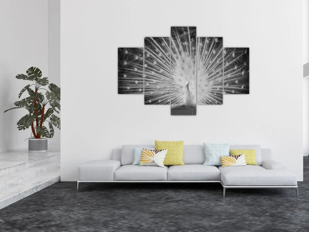 Tablou - Păun alb (150x105 cm)