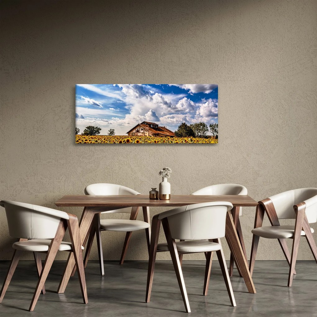 Tablou cu câmp de floarea soarelui (120x50 cm)