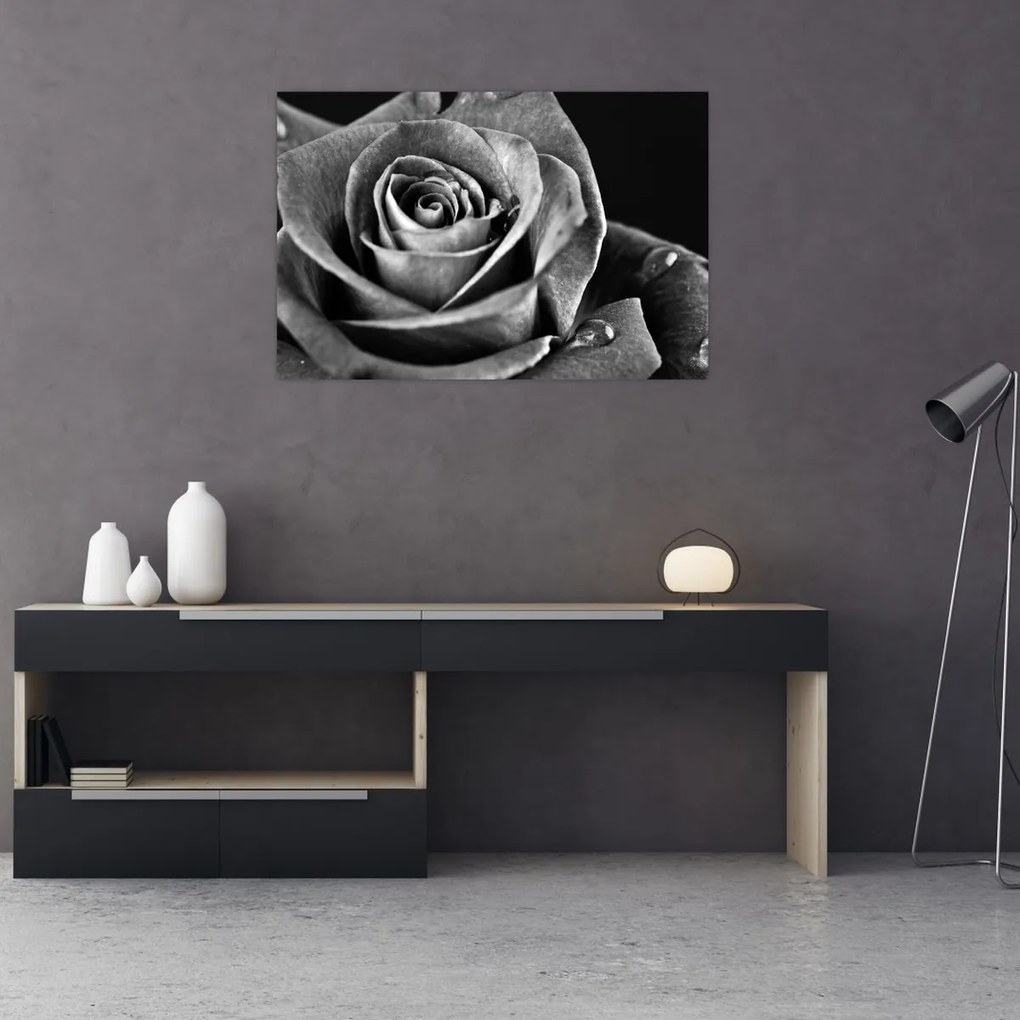 Tablou - Trandafir,alb-negru (90x60 cm)