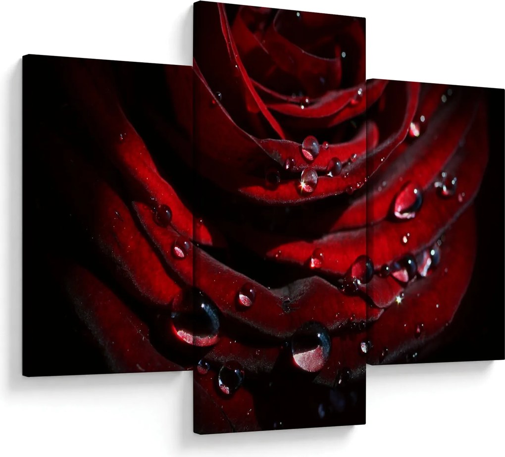Tablou - Trandafir (90x60 cm)