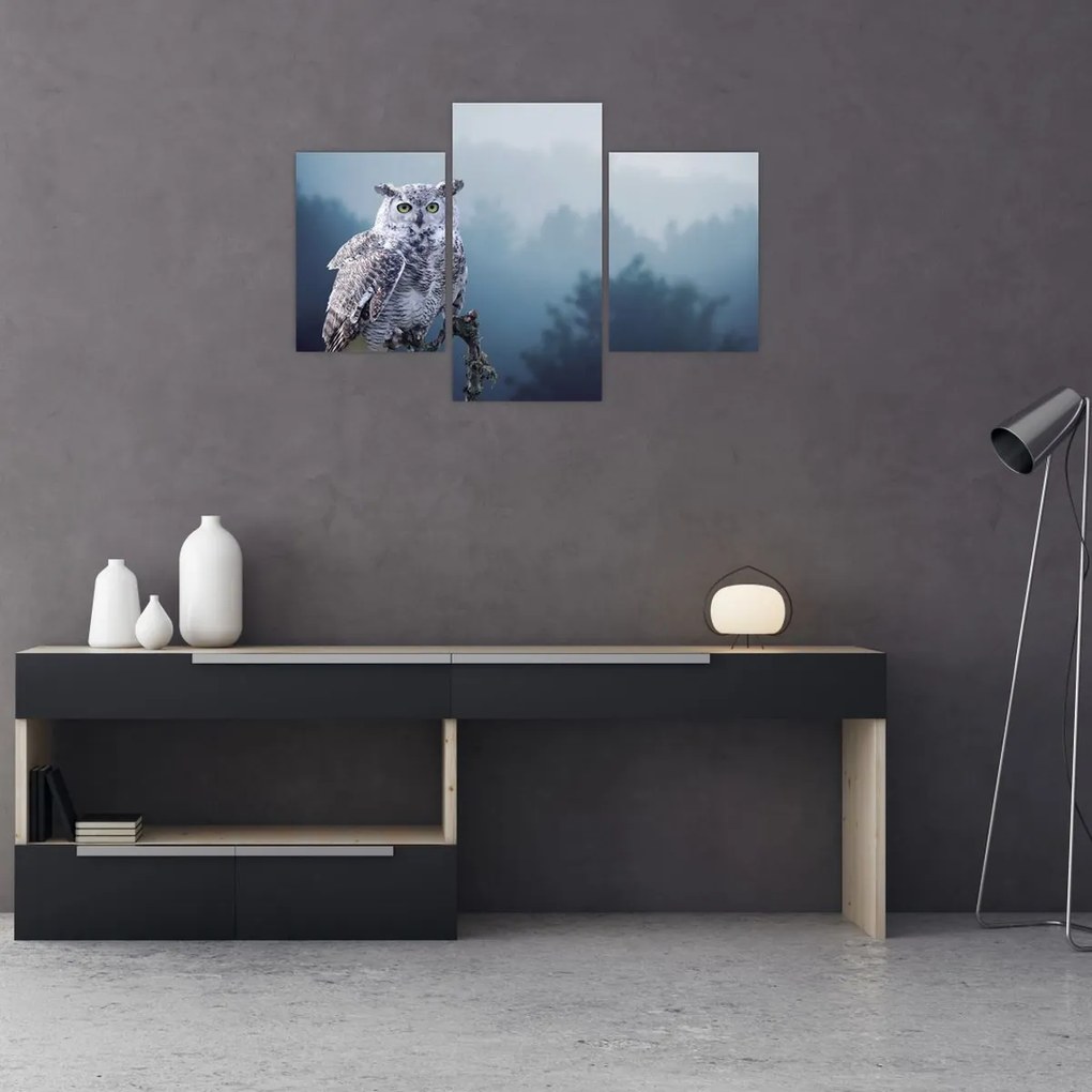 Tablou - Bufniță de zăpadă (90x60 cm)