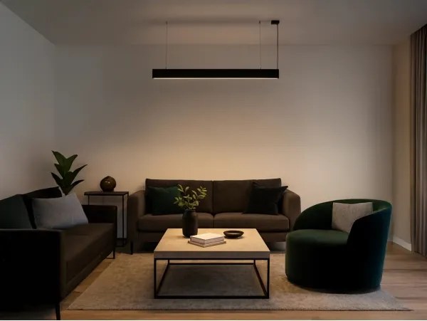 Lampă suspendată LED pe cablu, 55 W, 230 V, 3000/4000/6500 K, 120 cm, neagră