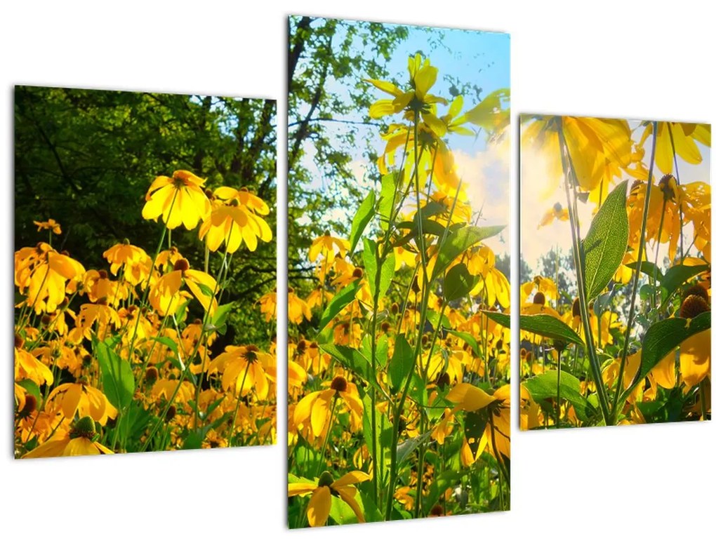 Tablou - Flori galbene (90x60 cm)