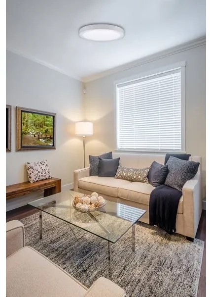 Plafonieră LED FENIX LED/12W/230V 2800K d. 17 cm