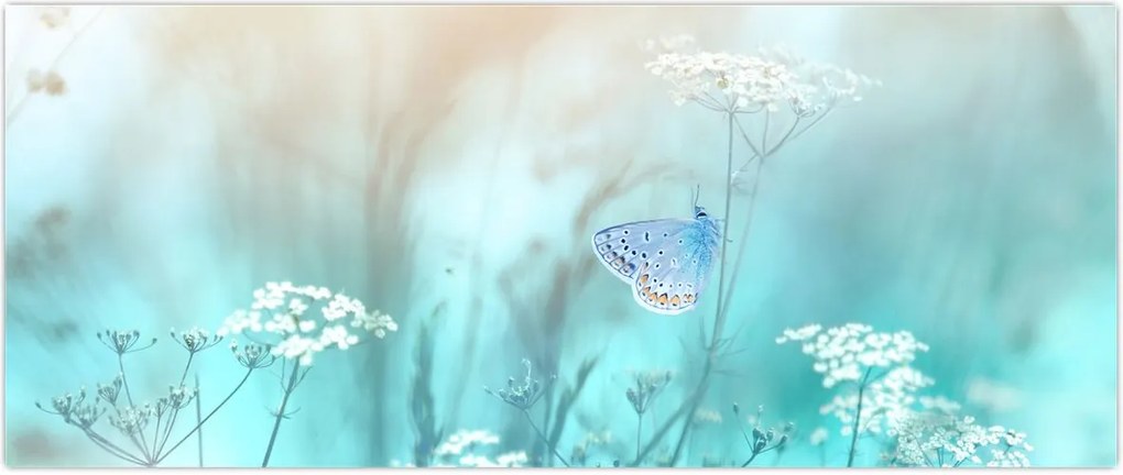 Tablou - Fluture în albastru (120x50 cm)