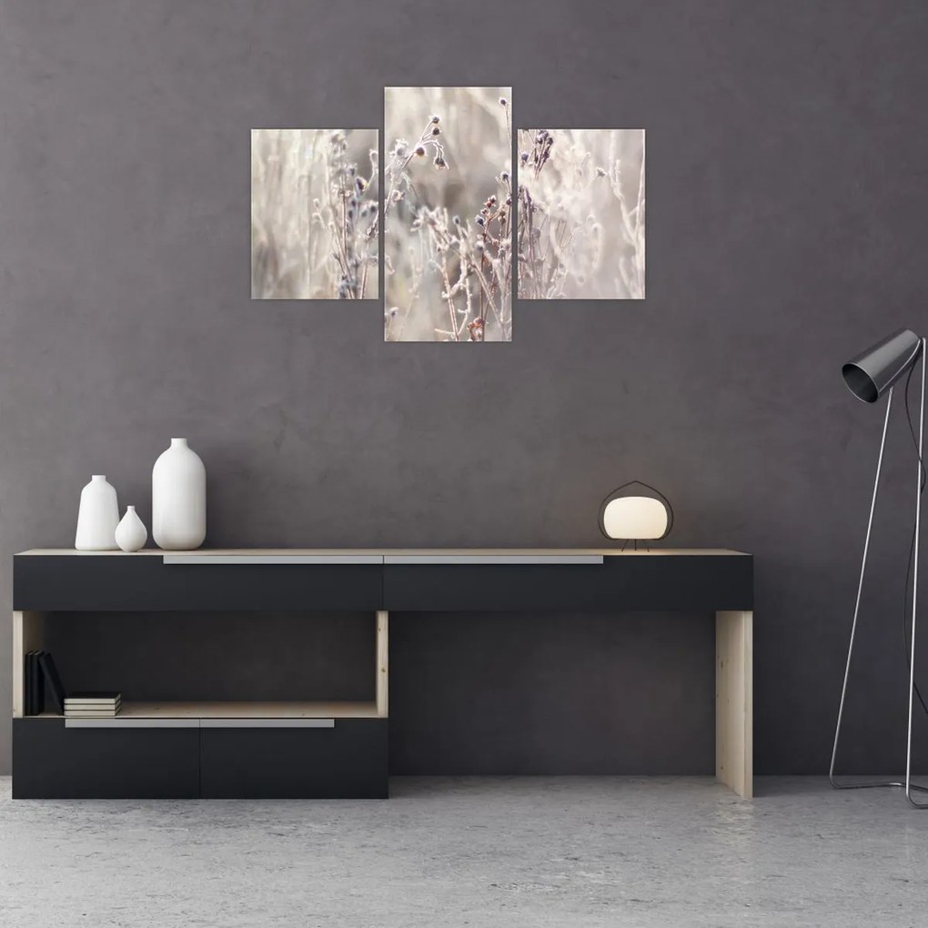 Tablou - Plante (90x60 cm)