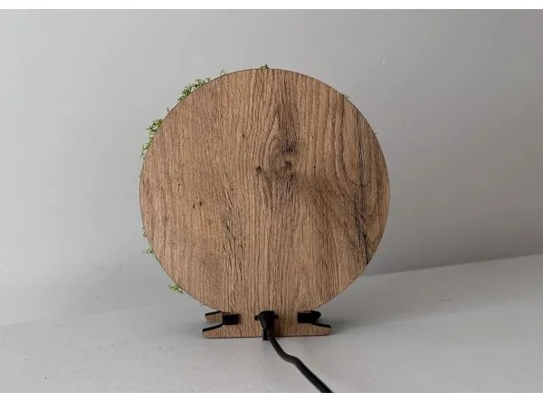 Li-Go 23625/DUB2 - Lampă de masă decorativă LED reglabilă, LED/12W/230V, 20x22 cm, stejar