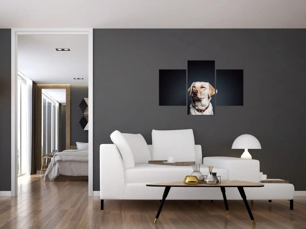 Tablou cu labrador (90x60 cm)