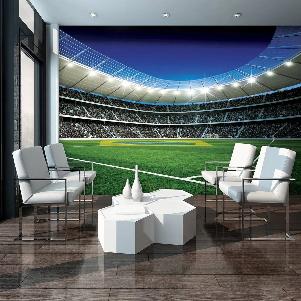 Fototapet - Stadion de fotbal (254x184 cm)