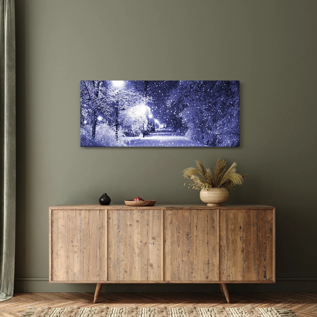 Tablou - Noaptea magică de iarnă (120x50 cm)