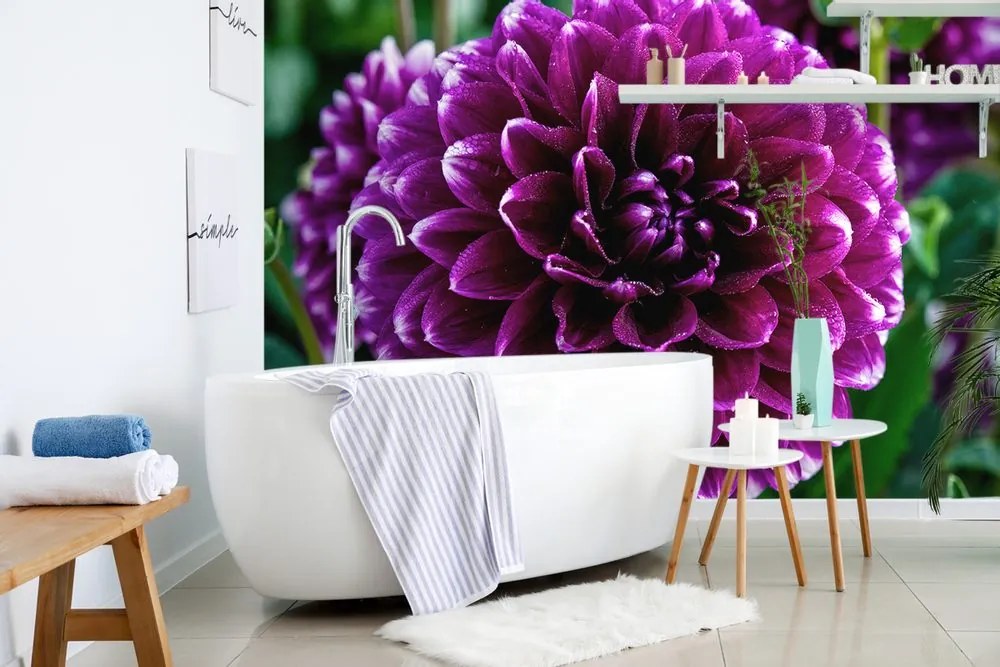 Fototapet autoadeziv floare violetă frumoasă