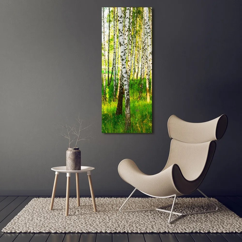 Print pe canvas Pădurea de mesteacăn