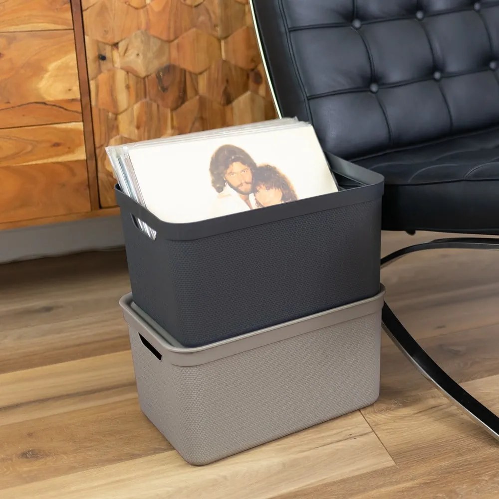 Cutie de depozitare din plastic cu capac Deco - Rotho