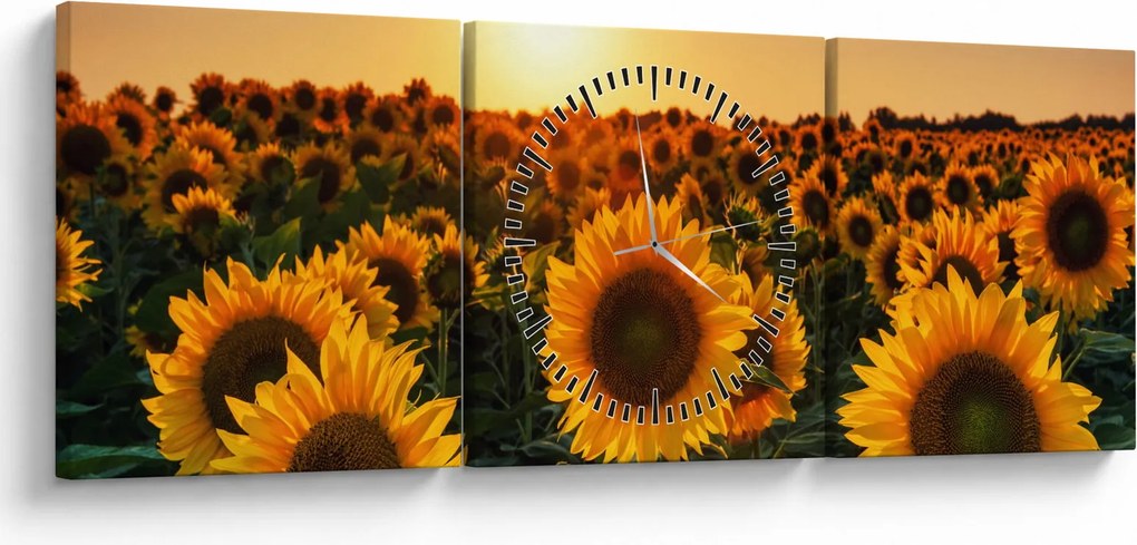 Tablou - Floarea soarelui (cu ceas) (90x30 cm)