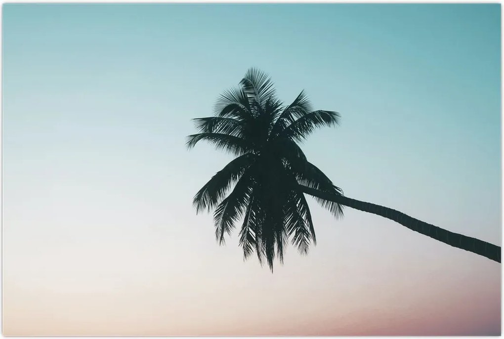 Tablou - Palmier la Bali (90x60 cm)