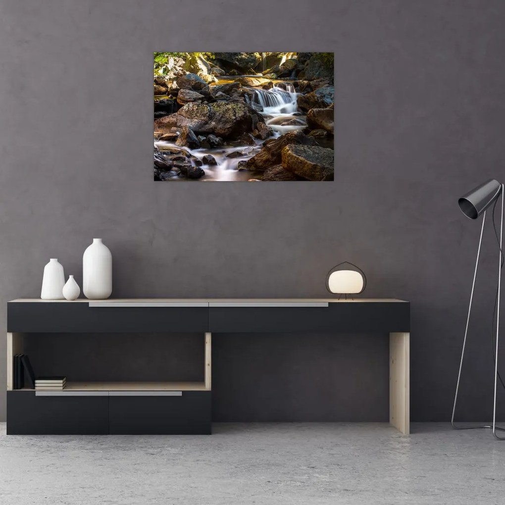 Tablou cu râul pietros (70x50 cm)