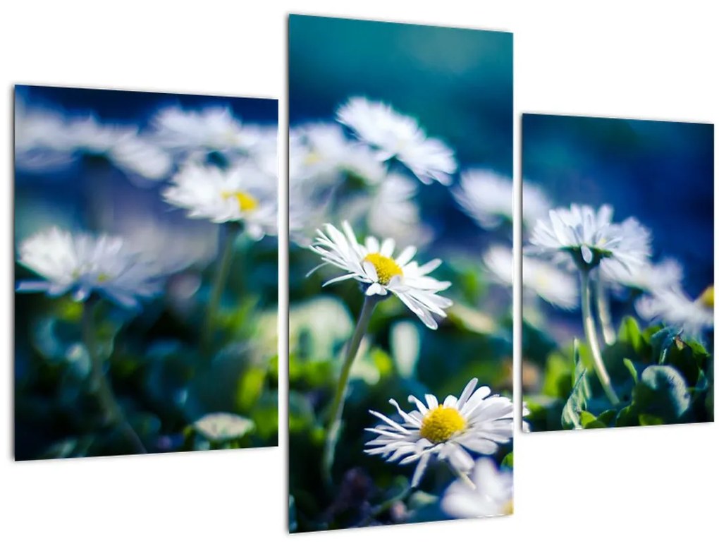 Tablou - Margarete (90x60 cm)