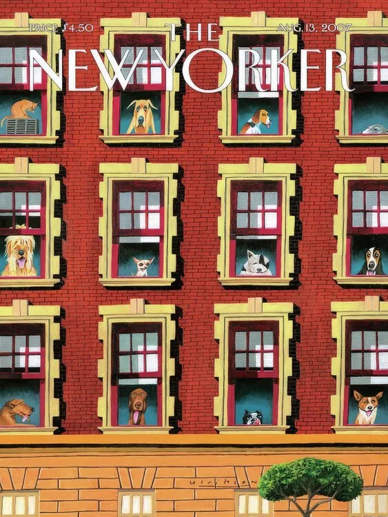 Ilustrație The NY Magazine Cover 31