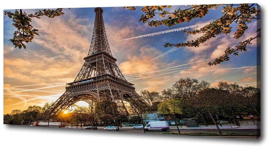 Tablou pe pânză canvas Turnul eiffel din paris