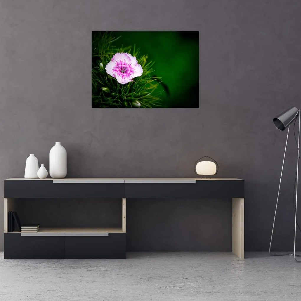 Tablou cu floare roz (70x50 cm)
