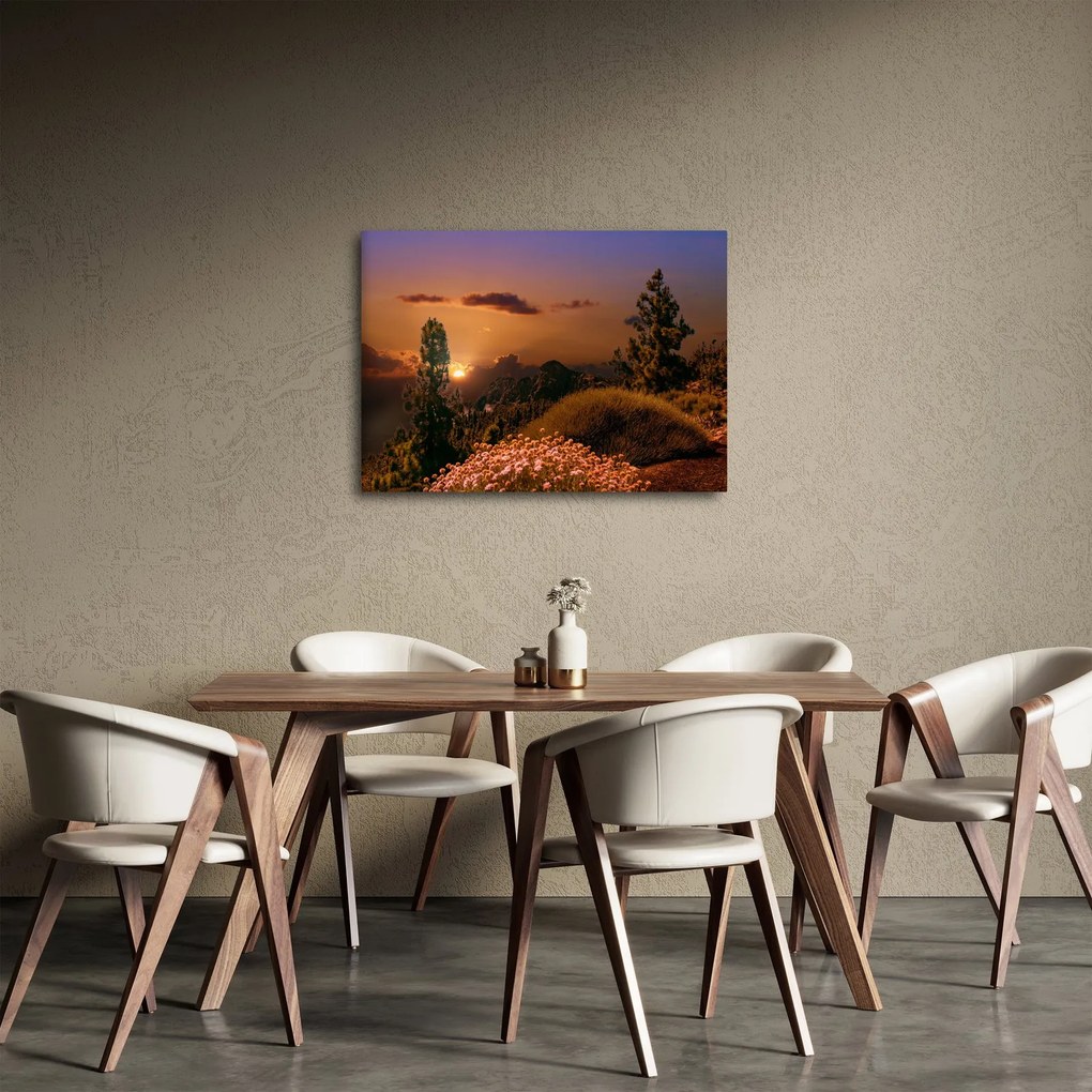 Tablou naturii cu apus de soare (70x50 cm)