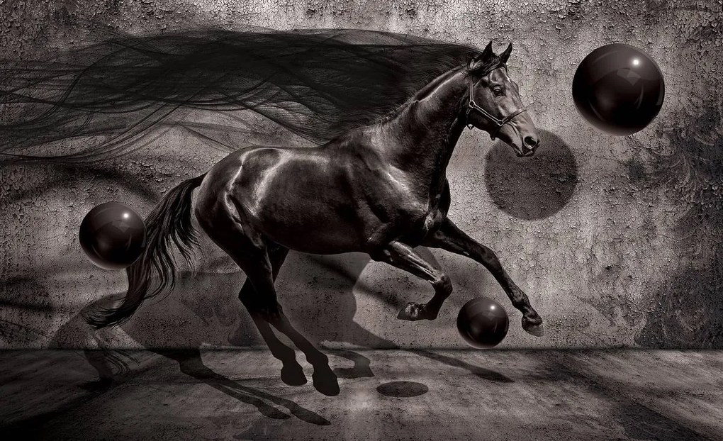 Fototapet - Calul negru (152,5x104 cm)