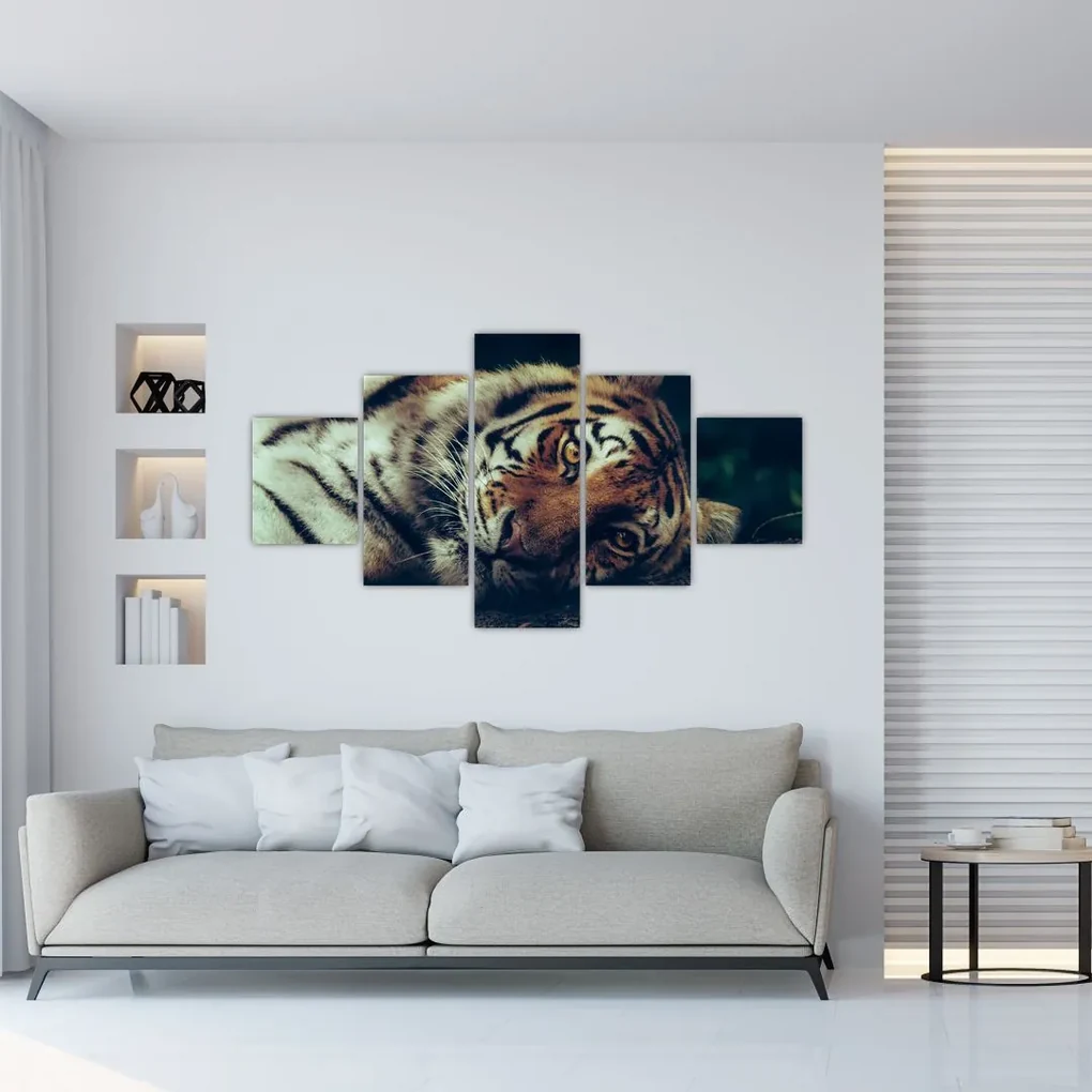 Tablou - Tigrul Siberian (125x70 cm), în 40 de alte dimensiuni noi