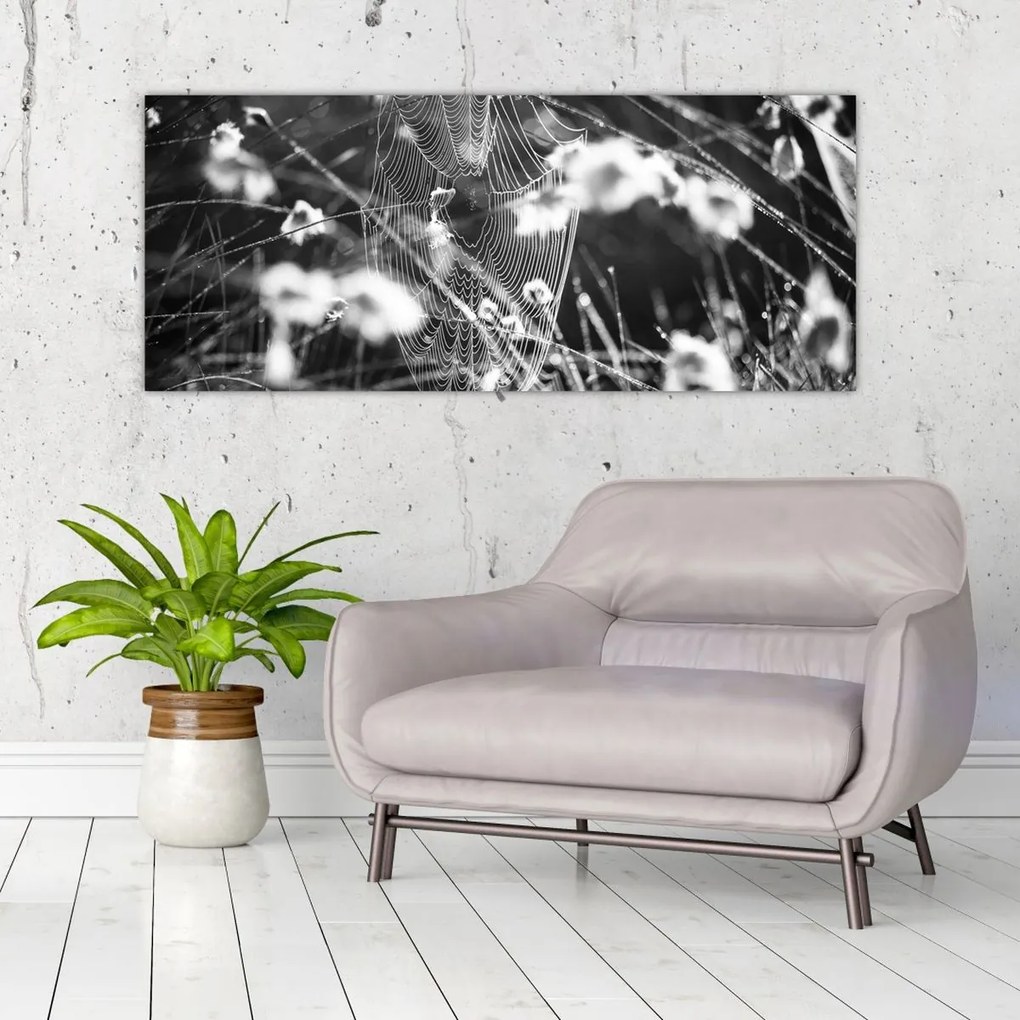 Tablou - Pânza de păianjen în pajiște (120x50 cm)