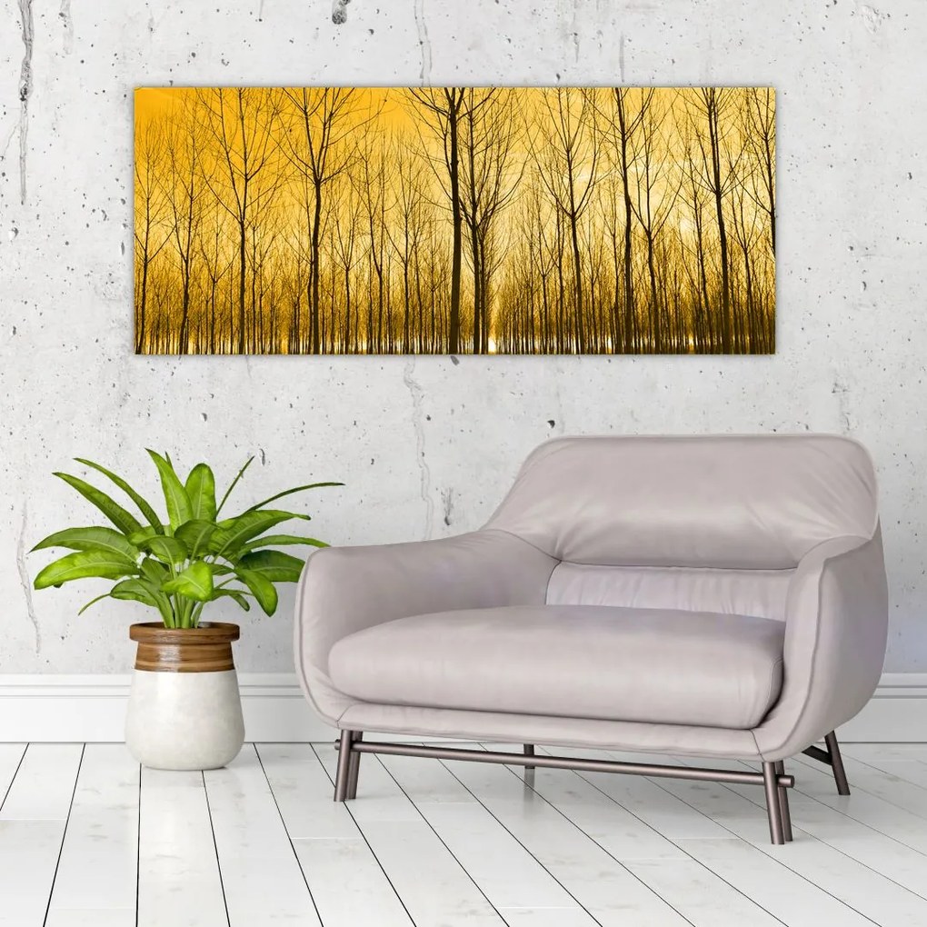 Tablou cu pădure în apus de soare (120x50 cm)