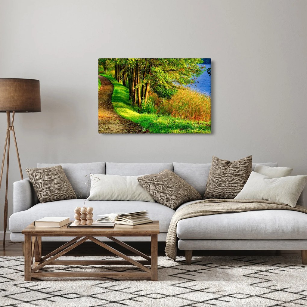 Tablou - poteci pe malul apei (90x60 cm)