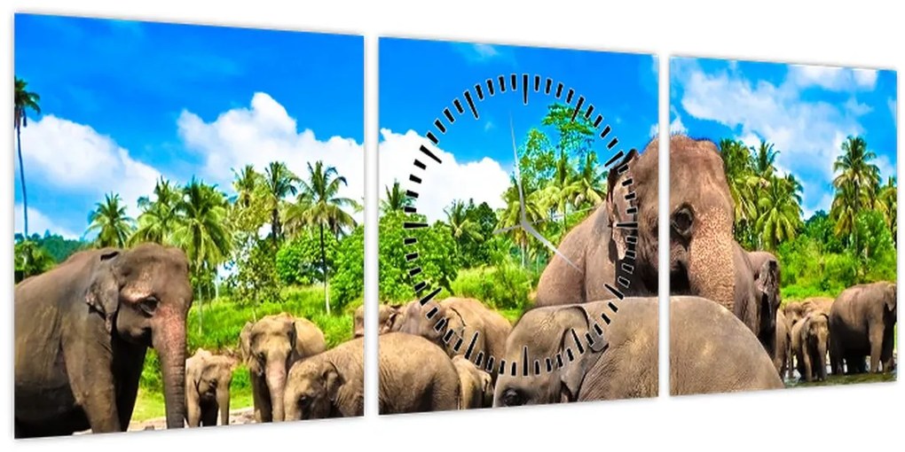 Tablou - Elefanți, Sri Lanka (cu ceas) (90x30 cm)
