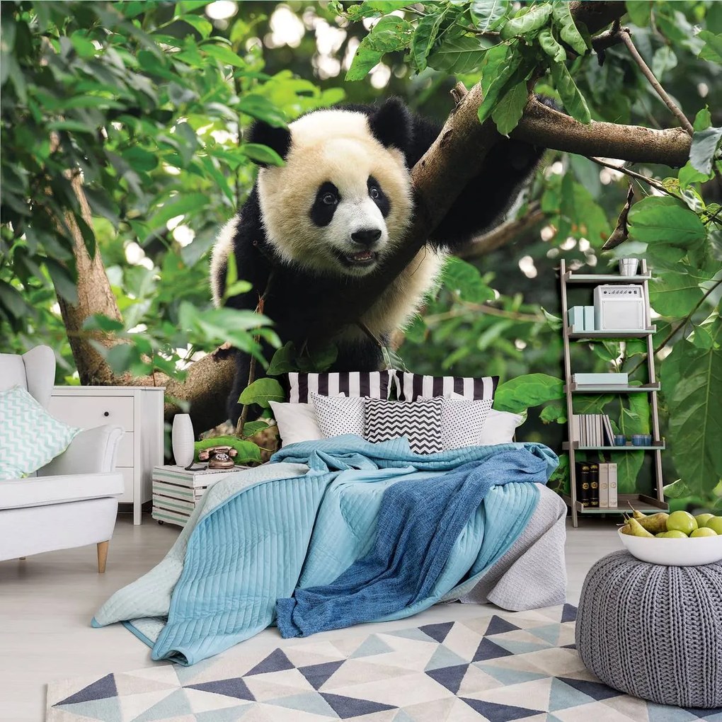 Fototapet - Panda în copac (152,5x104 cm)