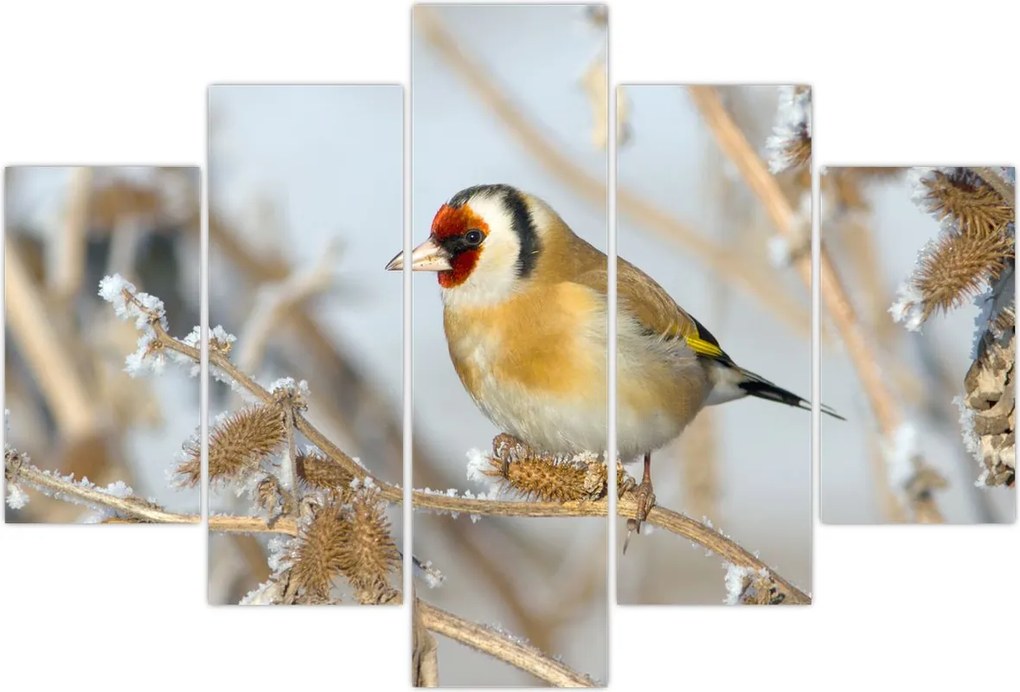 Tablou - Ciredeaua (150x105 cm)