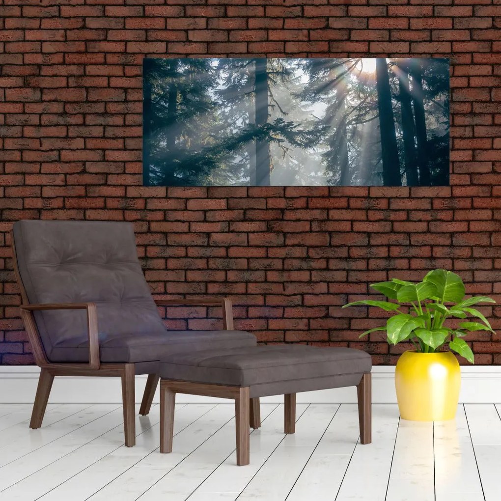 Tablou cu copaci și soarele translucind (120x50 cm)