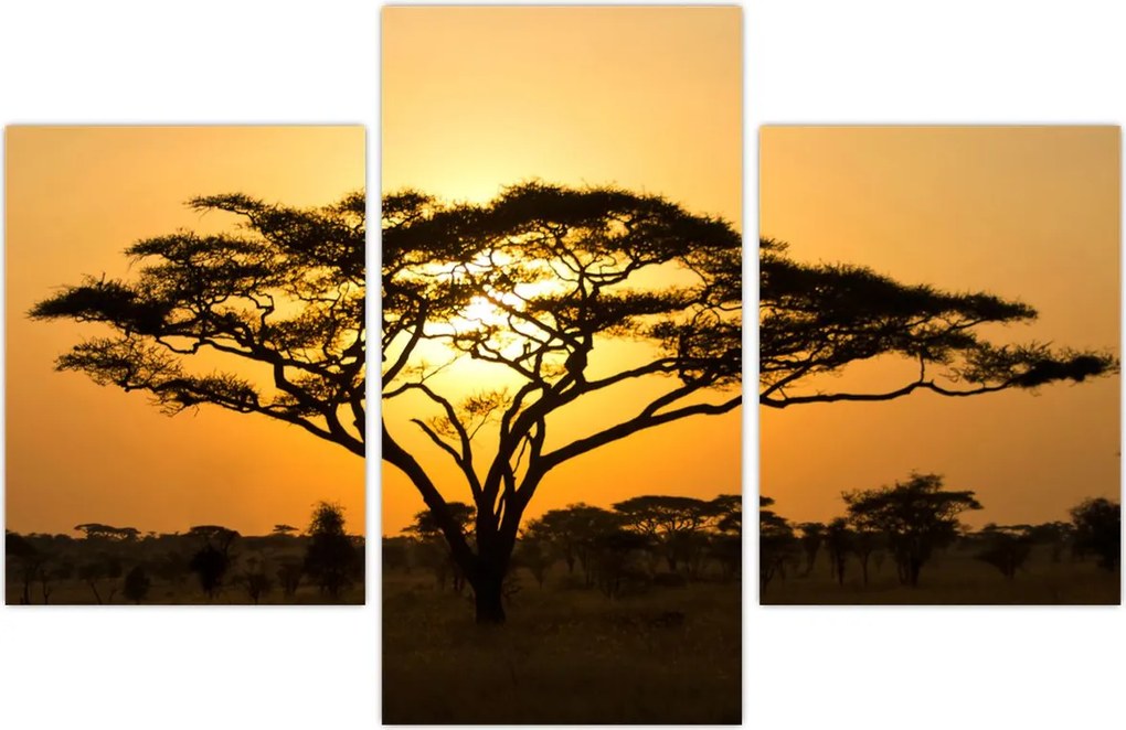 Tablou - Savana africană (90x60 cm)