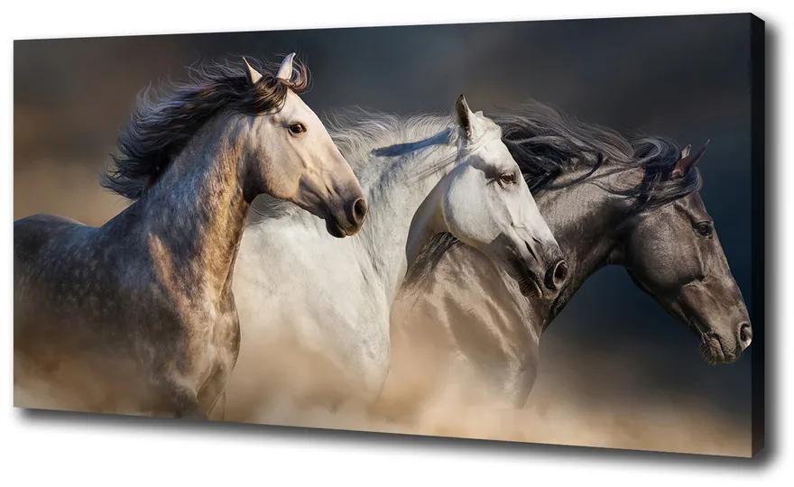 Print pe canvas Galopantă cai