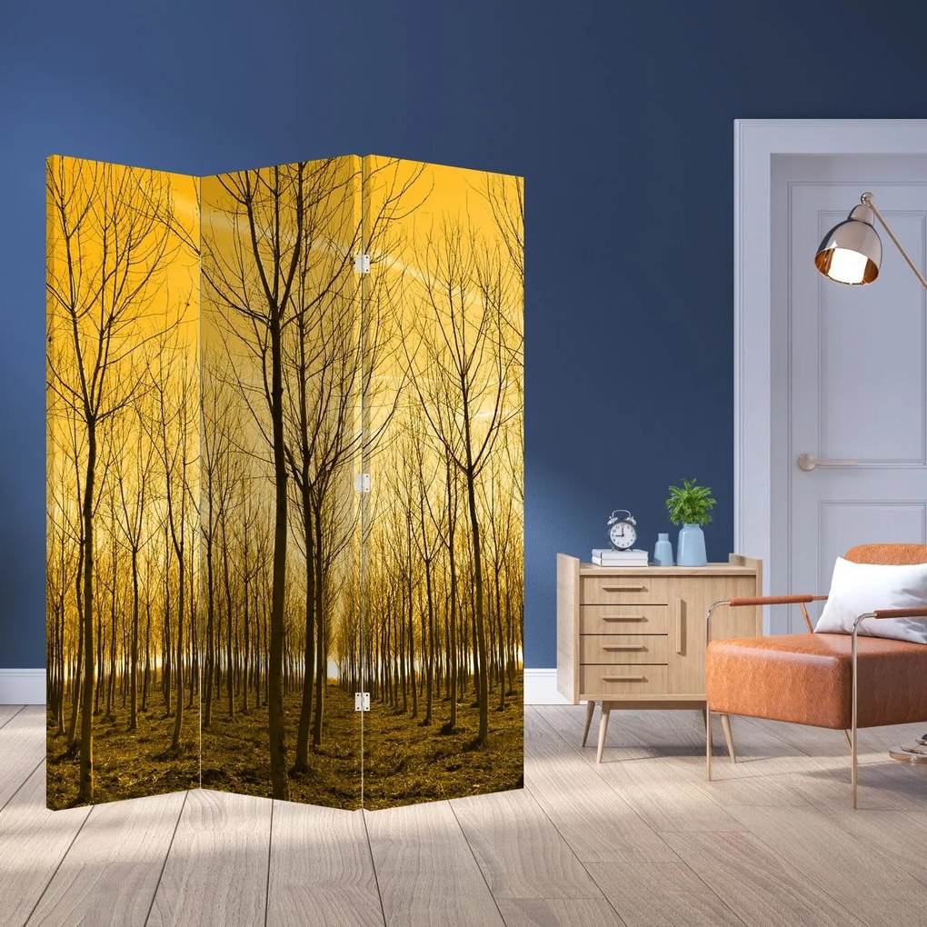 Paravan - Pădure în apus de soare (126x170 cm)