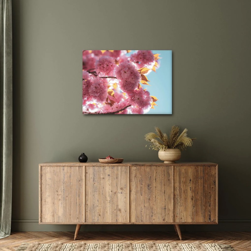 Tablou - Floare de cireș (70x50 cm)