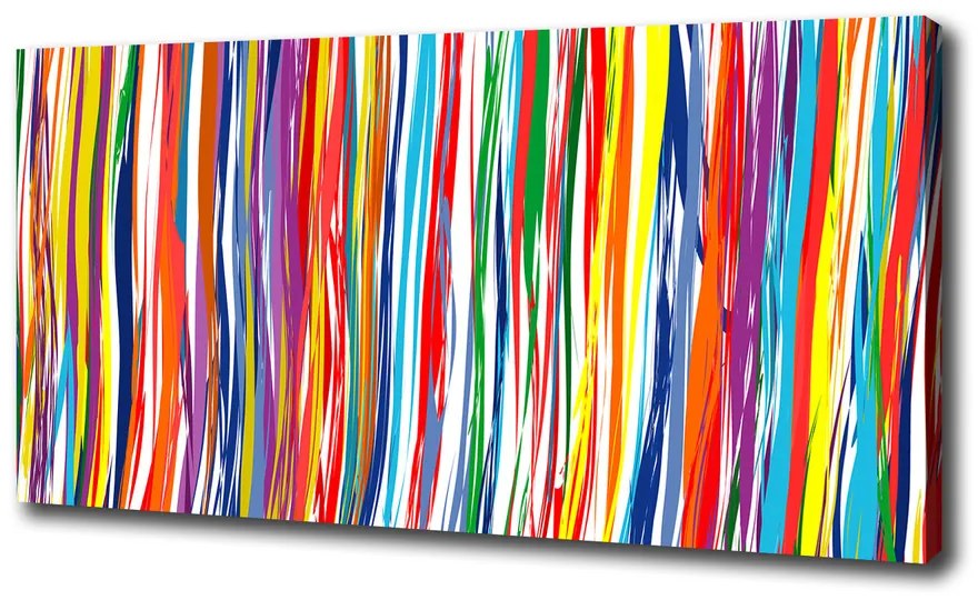 Print pe canvas Dungi colorate