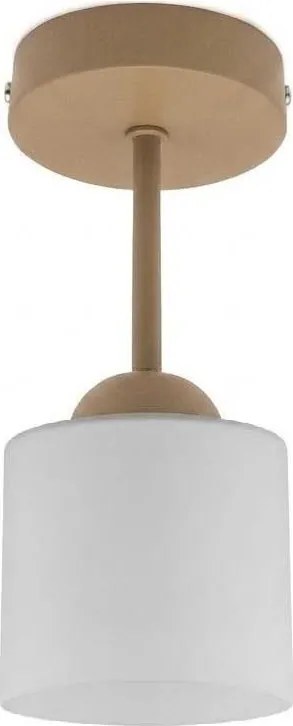BRILAGI - Lustră aplicată LED RETRO GLASS 1xE27/60W/230V Ø 10 cm bej/albă