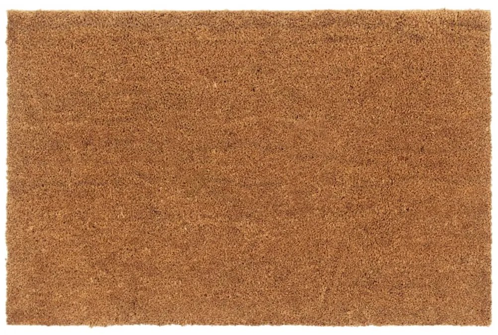 vidaXL Covoraș de ușă natural, 65x100 cm, fibre de cocos