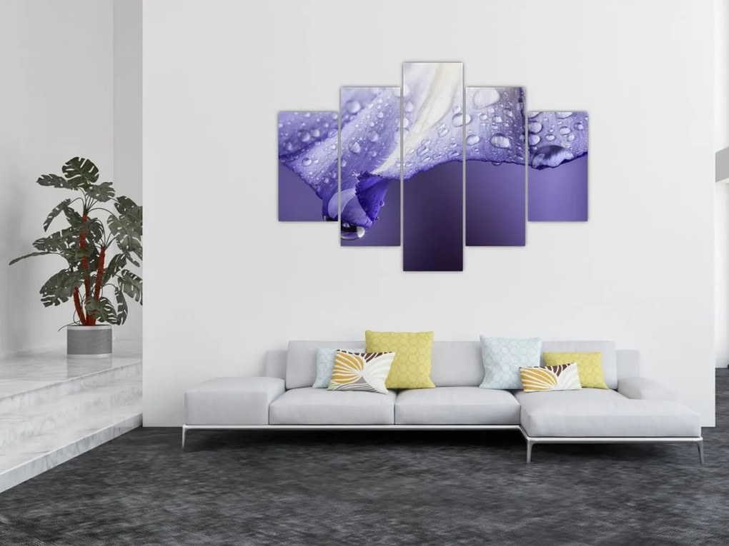 Tablou - Petală cu picături (150x105 cm)