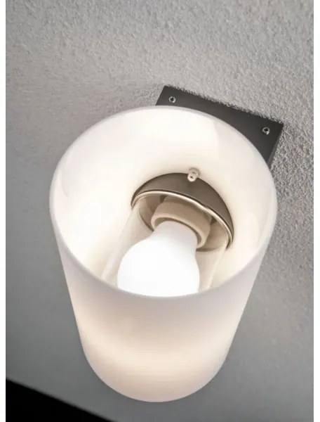 Aplică de exterior 1xE27/15W IP54 TUBE 230V Paulmann 94186