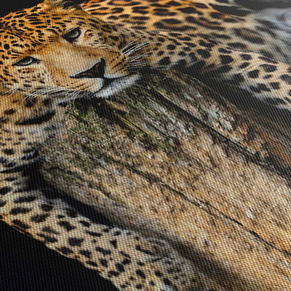 Tablou - Ghepard (90x60 cm)