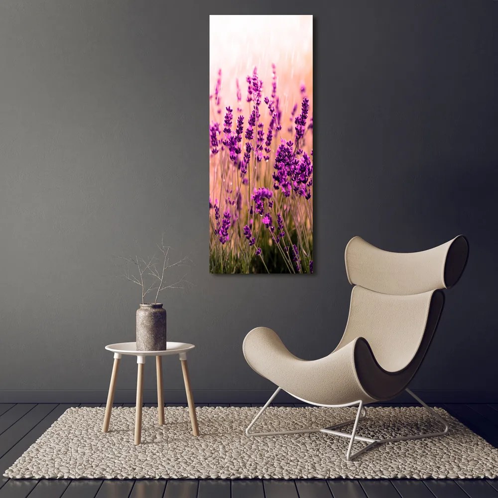 Imprimare tablou canvas Câmp de lavandă